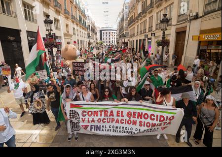 Malaga, Espagne. 06 juillet 2024. On voit des manifestants tenir une banderole, des pancartes et des drapeaux palestiniens alors qu'ils participent à une manifestation de solidarité avec le peuple palestinien. Sous le slogan "contre le génocide et l'occupation sioniste", des dizaines de personnes exigent la fin du commerce des armes et des relations commerciales avec Israël, dans le contexte des conflits en cours entre Israël et le Hamas. Crédit : SOPA images Limited/Alamy Live News Banque D'Images