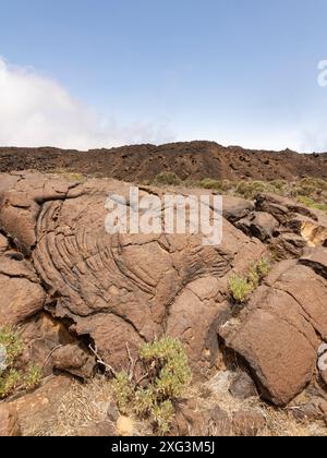 Vieille lave de Pahoehoe refroidie avec texture rosée, Parc National du Teide, Tenerife, Îles Canaries, Espagne, mai. Banque D'Images