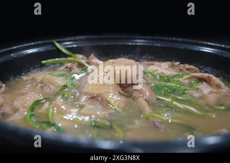 Cuisine coréenne traditionnelle où le poulet est farci avec des plantes médicinales et du riz et bouilli entier Banque D'Images