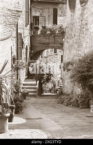 Spello - la petite allée sur la vieille ville. Banque D'Images