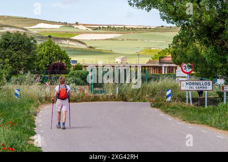 Femme marchant le Camino del Santiago le chemin de Saint Jacques approchant le village de Hornillos Espagne Banque D'Images