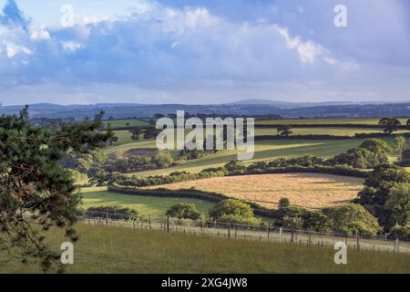 Terres agricoles de Cornwall avec Bodmin amarre dans la distance sur un soir de fin d'été Banque D'Images