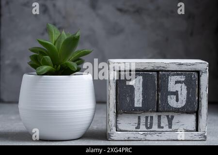 Calendrier cube en bois avec la date du 15 juillet et planter dans un pot sur fond gris Banque D'Images