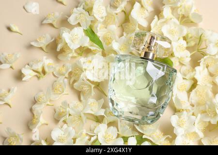 Bouteille de parfum aromatique parmi les fleurs de jasmin sur fond beige, pose plate Banque D'Images