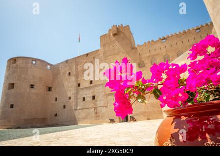 Jabreen citadelle forteresse murs en pierre bastions et fleurs rouges au premier plan, Bahla, Oman Banque D'Images