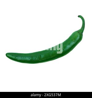 Un piment jalapeno vert entier Banque D'Images