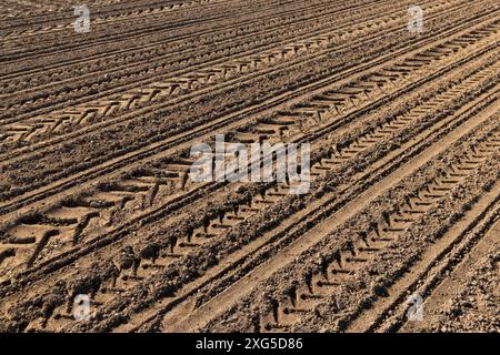 un champ agricole labouré avec des traces d'un tracteur, le sol sur le champ pendant le semis avec des traces de machines agricoles Banque D'Images