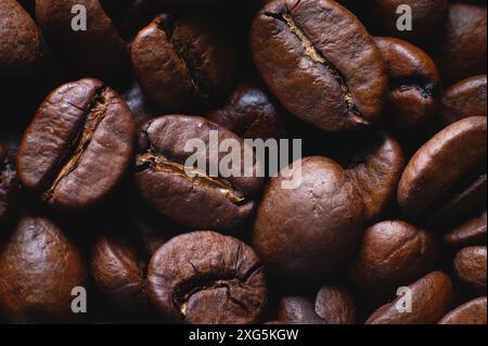 Gros plan des grains de café macro extrêmes pour obtenir un arrière-plan dans une faible profondeur de champ. macrophotographie Banque D'Images