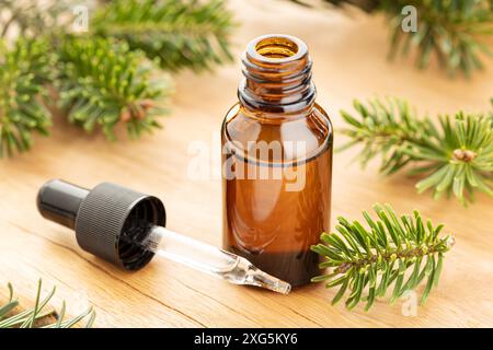 Huile essentielle de sapin en bouteille encore vie.Remèdes à base de plantes Banque D'Images