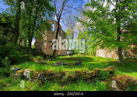 Burgstein ruine dans Vogtland au printemps, Burgstein ruine au printemps, paysage Vogtland, Allemagne Banque D'Images