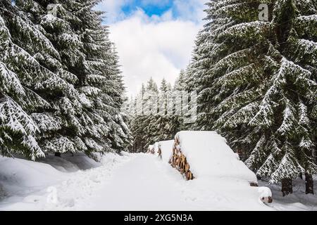 Paysage en hiver dans la forêt de Thuringe près de Schmiedefeld am Rennsteig Banque D'Images