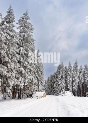 Paysage en hiver dans la forêt de Thuringe près de Schmiedefeld am Rennsteig Banque D'Images