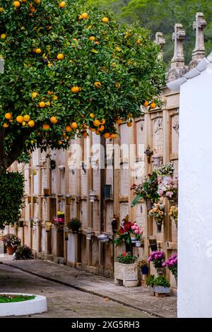 Cimetière municipal d'Andratx, Majorque, Iles Baléares, Espagne Banque D'Images