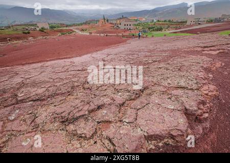 Empreintes de dinosaures, jurassique moyen à supérieur, géo parc Iouaridene, Beni Mellal-Khenifra, chaîne de montagnes Atlas, maroc Banque D'Images