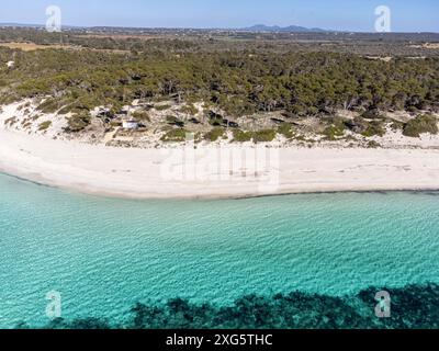 Plage es Carbo, plage de sable vierge sans personnes, Ses Salines, Majorque, Iles Baléares, Espagne Banque D'Images