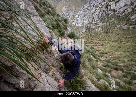 Route directe vers Morro den Pelut, 1323 mètres (Puig Major), Escorca, Majorque, Îles Baléares, Espagne Banque D'Images