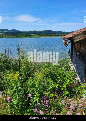 Hangar à bateaux sur le lac avec une gouttière qui est envahie de mousse Banque D'Images