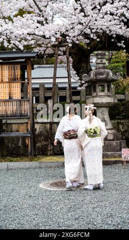 JAPON, KYOTO – avril 2024 : jeune fille vêtue de kimono au temple-sanctuaire Fushimiinari Taisha à Kyoto, Japon Banque D'Images