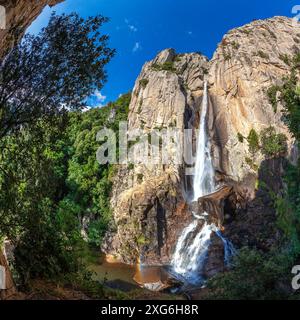 FRANCE. CORSE-DU-SUD (2A) PARC NATUREL RÉGIONAL CORSE, MASSIF DE L'ALTA ROCCA, FORÊT DE L'OSPEDALE, LA CASCADE PISCIA DI GALLU EN EST LA PLUS IMPRESSIONNANTE Banque D'Images