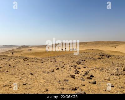 Dunes de sable dans le pays désertique, sahara Egypte Banque D'Images