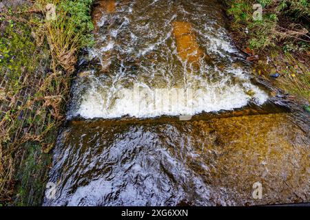 Eau coulant dans une rivière peu profonde avec des déclins dans le sol entre mur de briques et végétation sauvage, jardins de l'abbaye du Val-Dieu à Aubel, Belgique Banque D'Images