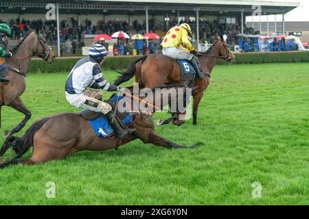 Cinquième course à Wincanton, le 8 janvier 2022 Banque D'Images