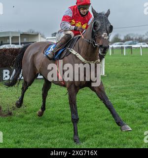 Septième course à Wincanton, le 8 janvier 2022 Banque D'Images