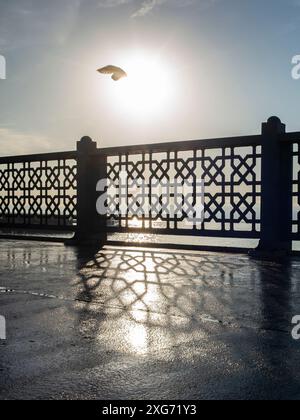 Silhouette d'un oiseau survolant le pont de Galata à Istanbul Banque D'Images