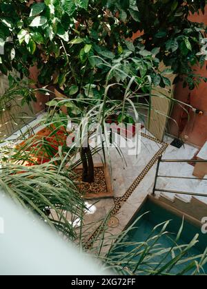 Une cour luxuriante à Marrakech, au Maroc, dispose d'une petite piscine, entourée d'une verdure vibrante et de cartilages décoratifs. La vue est vue d'en haut Banque D'Images