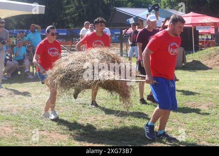 Karlovac, Croatie. 06 juillet 2024. Organisé par l'Association sportive de Kupa, une compétition internationale de jeux de vieux villages, les Jeux Olympiques de Prikup, a eu lieu sur le terrain de jeu de Kasuni le 06 juillet 2024 à Bosiljevo, Croatie. Dix équipes se sont affrontées dans sept disciplines - marcher sur des chaises, transporter du foin, transporter de l'eau, de la corde aux points, lancer des fers à cheval. Photo : Kristina Stedul Fabac/PIXSELL crédit : Pixsell/Alamy Live News Banque D'Images