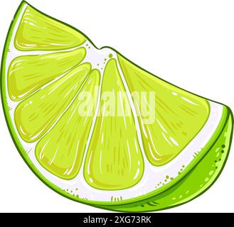 Illustration détaillée colorée de fruit de citron vert Illustration de Vecteur