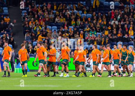 Les joueurs australiens terminent leur échauffement avant le match international de rugby masculin entre l'Australie et le pays de Galles au stade Allianz le 6 juillet, Banque D'Images