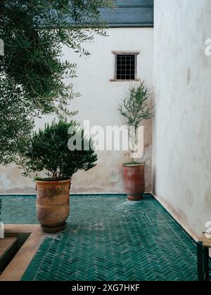 Cour paisible avec plantes en pot, carrelage vert, et une esthétique minimaliste, parfait pour des moments tranquilles. Banque D'Images