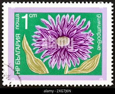 BULGARIE - VERS 1974 : un timbre imprimé en Bulgarie à partir de l'émission de fleurs de jardin montre l'aster de Chine (Callistephus chinensis) Banque D'Images