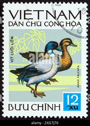 VIETNAM - VERS 1972 : un timbre imprimé dans le nord du Vietnam à partir de l'émission des oiseaux vietnamiens montre un canard faucé (Anas falcata) Banque D'Images