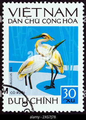 VIETNAM - VERS 1972 : un timbre imprimé au nord du Vietnam à partir de l'émission 'oiseaux vietnamiens' montre des aigrettes de bétail (Bubulcus ibis) Banque D'Images