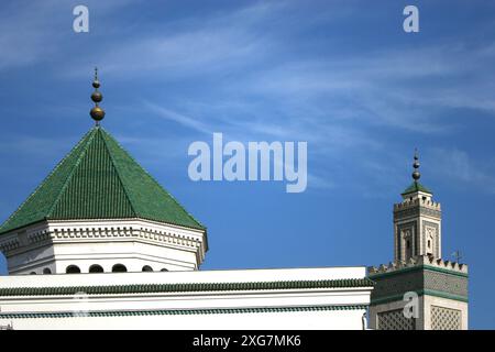 FRANCE. PARIS (75) 5E ARR. LA GRANDE MOSQUÉE DE PARIS. Banque D'Images