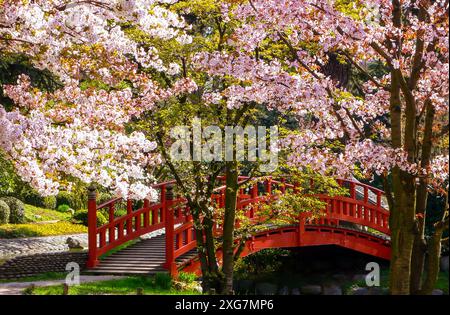 FRANCE. HAUTS-DE-SEINE (92) BOULOGNE-BILLANCOURT. JARDINS ALBERT KAHN. LE JARDIN JAPONAIS Banque D'Images