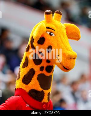 Manchester, Royaume-Uni. 7 juillet 2024 ; Emirates Old Trafford Cricket Ground, Manchester, Angleterre ; Vitality Blast T20 League Cricket, Lancashire Lightning versus Worcestershire Rapids ; Lanky the Mascot Credit : action plus Sports images/Alamy Live News Banque D'Images