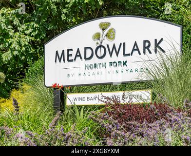 panneau pour le vignoble meadowlark north fork Banque D'Images