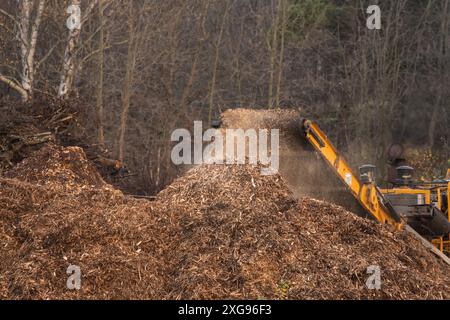 Göteborg, Suède - novembre 10 2022 : copeaux de bois déversés dans une pile par un grand broyeur de bois industriel Banque D'Images