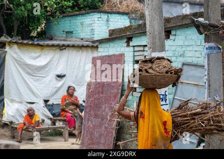 Gopalganj, Bihar, Inde. 29 juin 2024. Une femme a vu porter un panier rempli de gâteaux de bouse de vache et de pailles de maïs séchées, qu'elle utilise comme combustible pour cuisiner la nourriture. (Crédit image : © Pradeep Gaur/SOPA images via ZUMA Press Wire) USAGE ÉDITORIAL SEULEMENT! Non destiné à UN USAGE commercial ! Banque D'Images