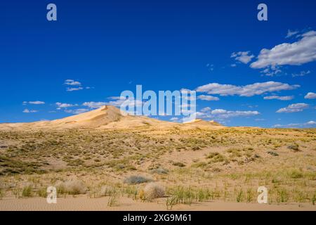 Kelso Dunes, également connu sous le nom de Kelso Dune Field, est le plus grand champ de dépôts de sable éolien dans le désert de Mojave. La région est protégée par le Mo Banque D'Images