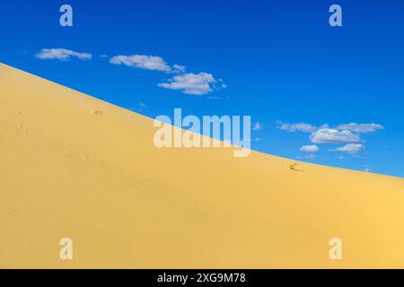 Kelso Dunes, également connu sous le nom de Kelso Dune Field, est le plus grand champ de dépôts de sable éolien dans le désert de Mojave. La région est protégée par le Mo Banque D'Images