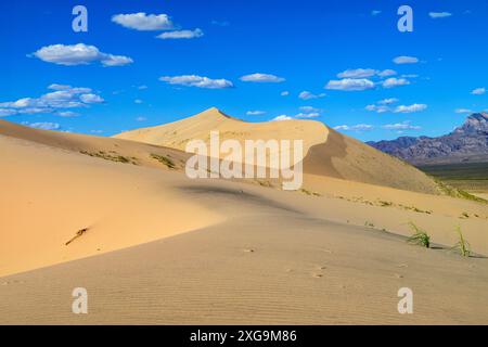 Kelso Dunes, également connu sous le nom de Kelso Dune Field, est le plus grand champ de dépôts de sable éolien dans le désert de Mojave. La région est protégée par le Mo Banque D'Images