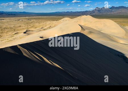 Kelso Dunes, également connu sous le nom de Kelso Dune Field, est le plus grand champ de dépôts de sable éolien dans le désert de Mojave. La région est protégée par le Mo Banque D'Images