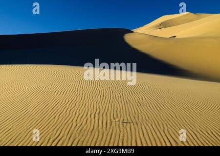 Kelso Dunes, également connu sous le nom de Kelso Dune Field, est le plus grand champ de dépôts de sable éolien dans le désert de Mojave. La région est protégée par le Mo Banque D'Images