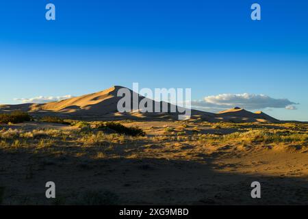 Kelso Dunes, également connu sous le nom de Kelso Dune Field, est le plus grand champ de dépôts de sable éolien dans le désert de Mojave. La région est protégée par le Mo Banque D'Images