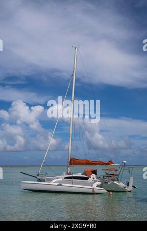 Catamaran, Tikehau, atoll, archipel des Tuamotu, Tuherahera, Rangiroa, Polynésie française Banque D'Images