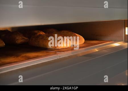 Trois pains de pâte sont cuits dans un four industriel. Production artisanale de pain Banque D'Images